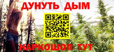 индика Можайск
