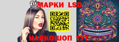 индика Можайск