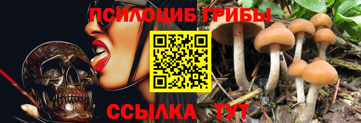 Верхний Уфалей  Псилоцибиновые грибы GOLDEN TEACHER  Вход с VPN 